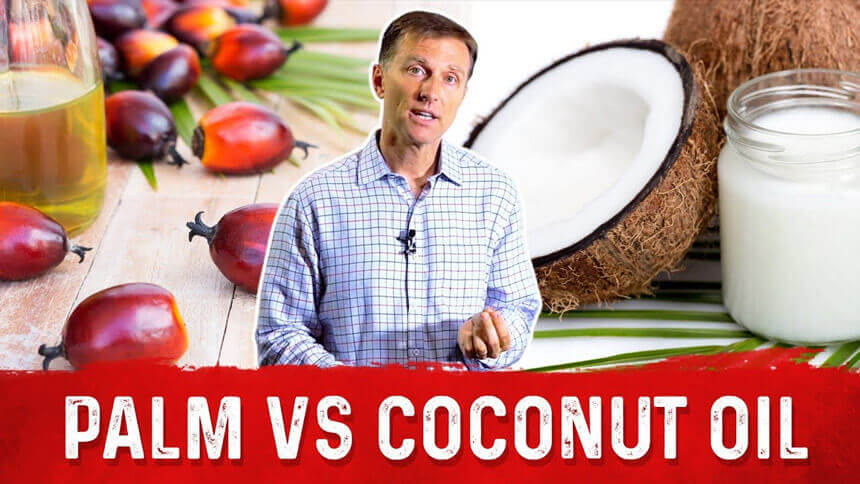 Palm oil vs coconut oil production process
