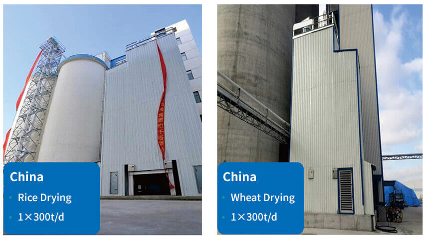 300TPD rice and wheat drying project