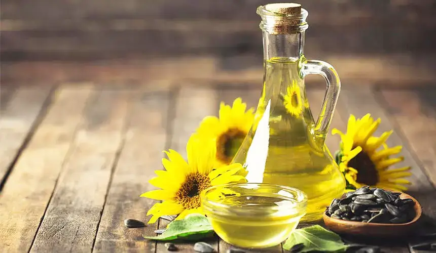 Rice bran oil vs sunflower oil for skin