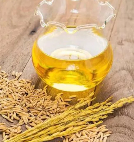 The features of rice bran oil extraction process