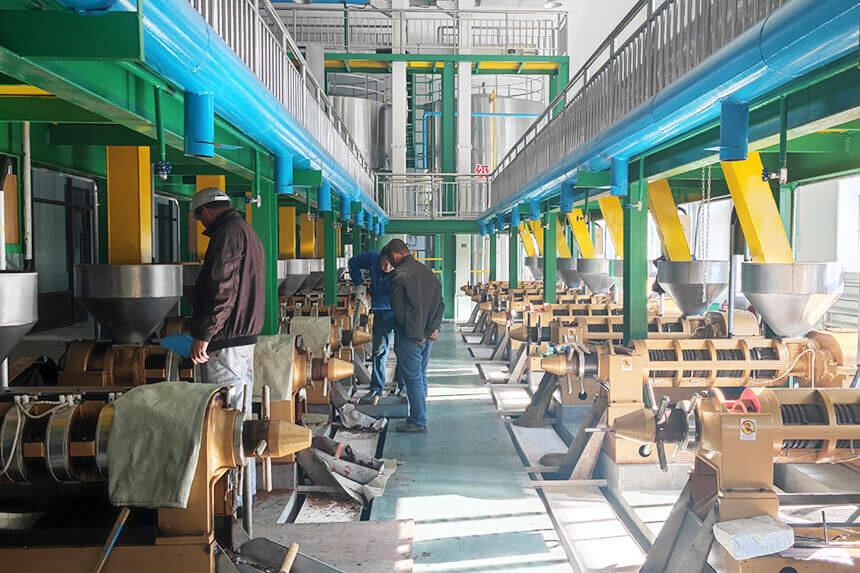 Sesame Oil Extraction Machine: Seed to Edible Oil