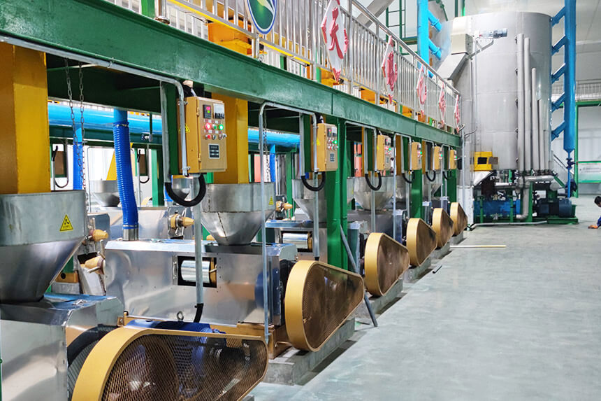 Standard Sesame Oil Manufacturing Process: 5 Step Guide