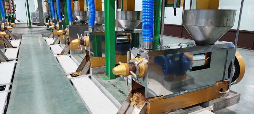 Sesame oil screw press machine for sale