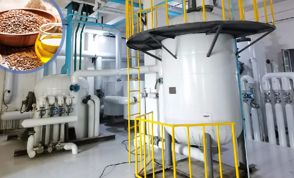 Flaxseed oil production line