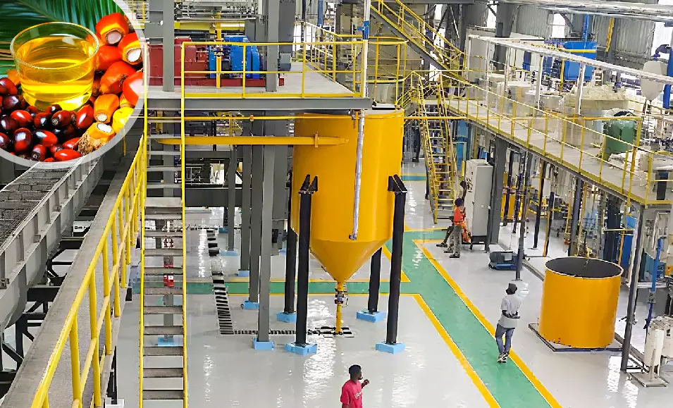 Palm oil mill plant processing line