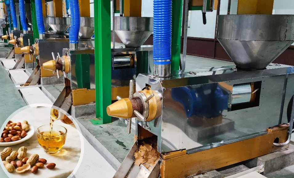 Peanut oil production line