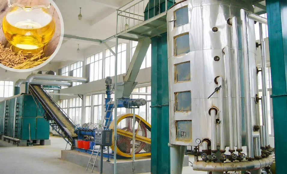 Rice bran oil production line