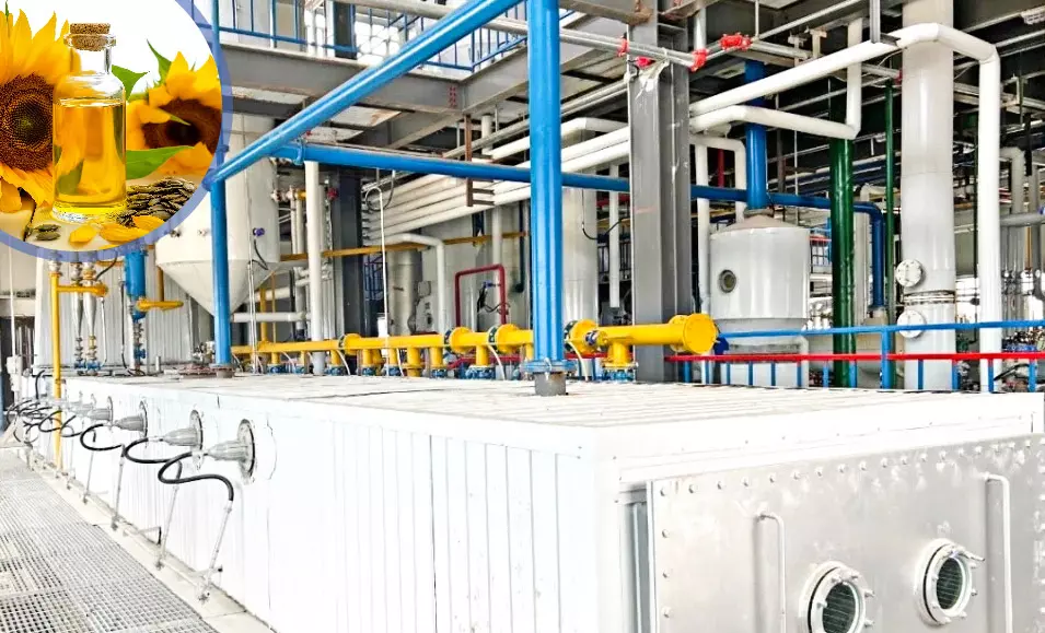 Sunflower oil production line