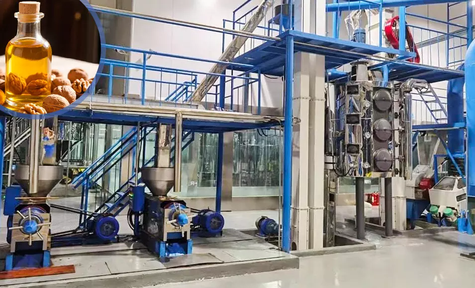 Walnut oil production line