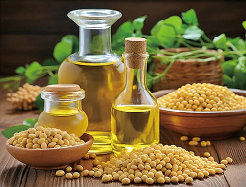 Soybean Oil Production Line