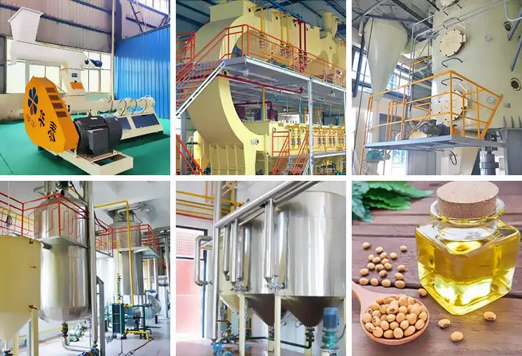 100 Ton Soybean Extrusion Oil Plant in Togo: Installation in Action