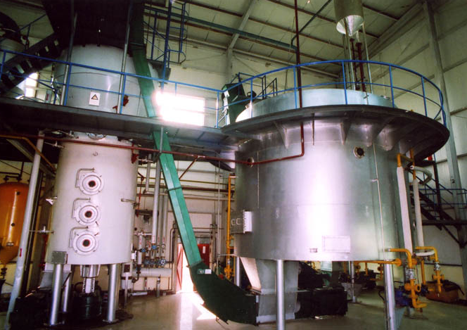 How much is a sunflower oil plant?