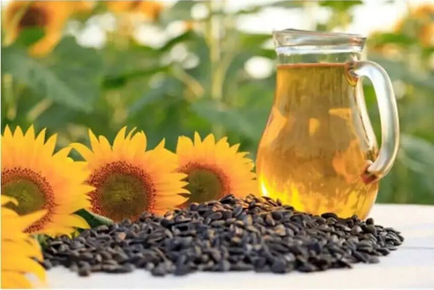 Sunflower oil vs rice bran oil​