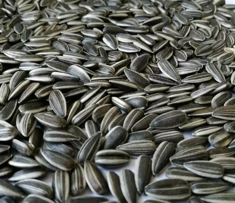 Sunflower seed color sorting and shelling equipment