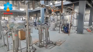 100TPD Large-Scale Edible Oil Refining Plant Video