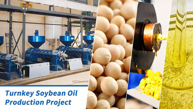 100TPD Large-Scale Soybean Oil Production Line in Togo