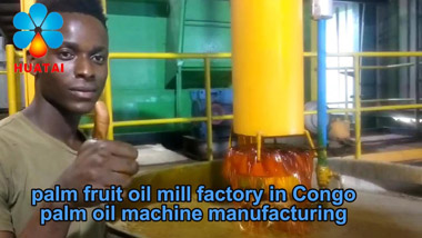 10TPH Palm Fruit Oil Mill Plant in Congo Video