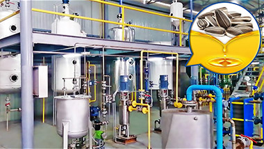 150TPD Sunflower Oil Manufacturing Plant in Ukraine Video