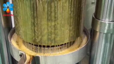 Automatic Hydraulic Oil Press Machine Introduction Video