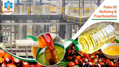 Congo 100tpd Palm Oil Refining and Fractionation Plant Video
