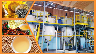 Edible Oil Refinery Plant Workshop Video