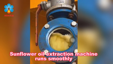 Fully Automatic Sunflower Oil Processing Plant Video