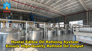 Large-scale Edible Oil Refinery Plant Video