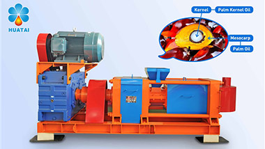 Huatai Palm Kernel Oil Press Machine Introduction Video