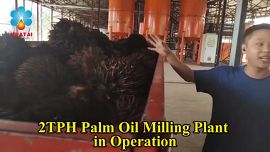 2TPH Palm Oil Mill Plant Running Video