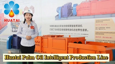 Palm Oil Processing Machine Introduction Video