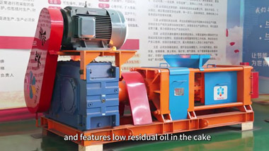 Palm Oil Production Process Explanation Video