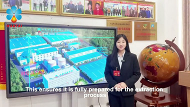 Huatai Group Rice Bran Oil Extraction Technology Video