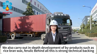 200TPD Rice Bran Pretreatment Equipment Shipment Video