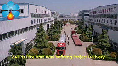 24TPD Rice Bran Wax Refining Machine Delivery Video