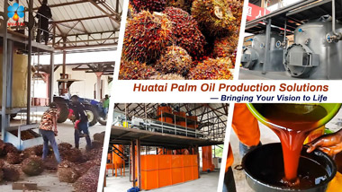 Small Scale Palm Oil Production Line Video