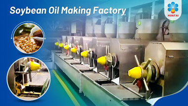 Soybean Oil Extraction Machine Working Video
