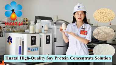 Huatai Soybean Protein Concentrate Processing Introduction Video
