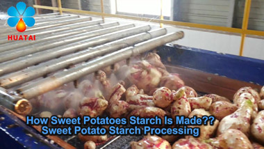 25TPD Sweet Potato Starch Processing Plant Working Video