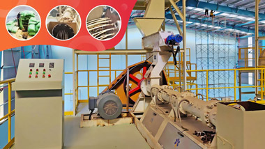 Vietnam Large Rice Bran Oil Production Line Running Video