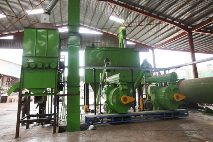 Feed screening and packing station