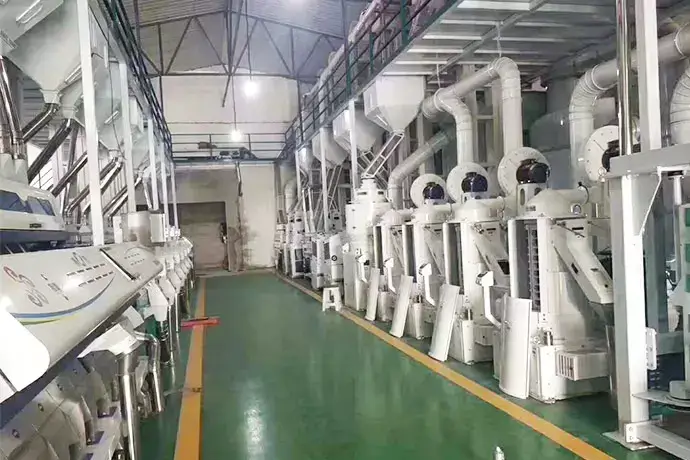 Rice milling processing
