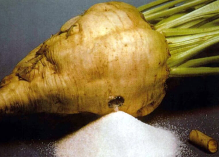 Beet Sugar Production Project with a Daily Capacity of 5,000 Ton
